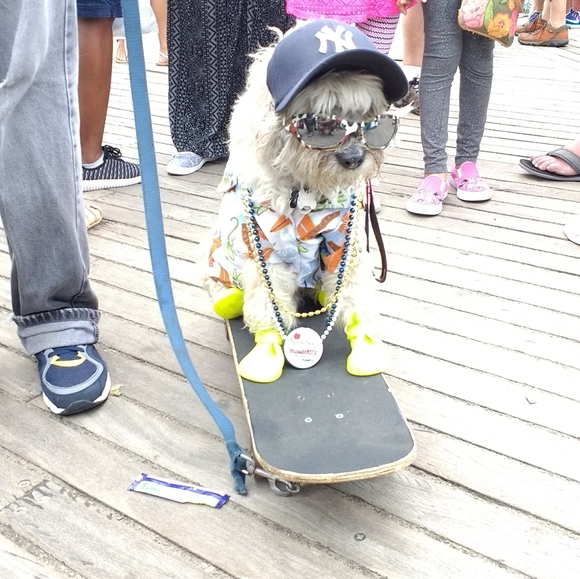 Meet your Posher, Kimberlee - Picture 2 of 4